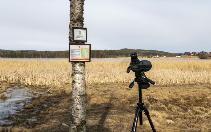 Hellesjøvannet