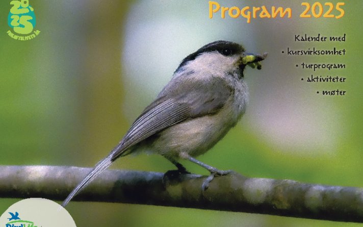 BirdLife OA program 2025