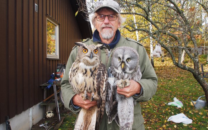 Jan Ingar Båtvik med hubro og lappugle.