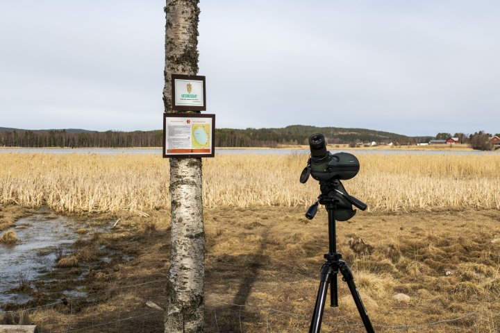 Hellesjøvannet