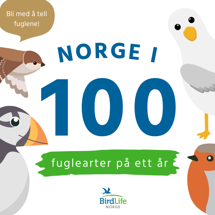 Norge i 100