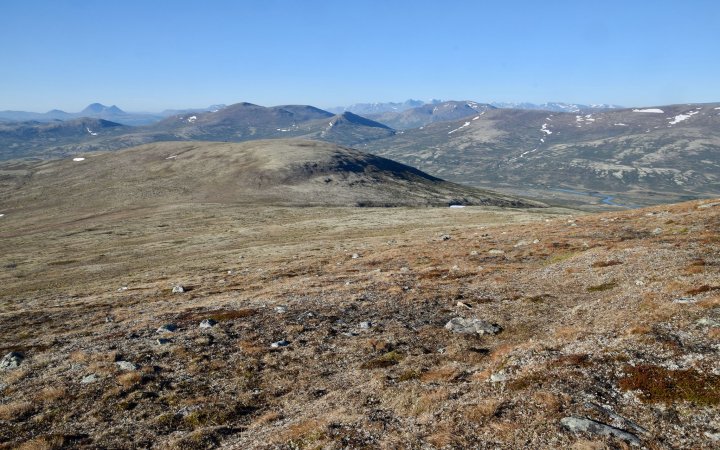 Fjellerkehabitat i Rondane