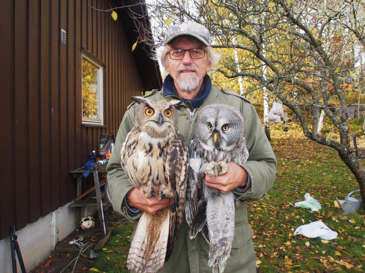 Jan Ingar Båtvik med hubro og lappugle.