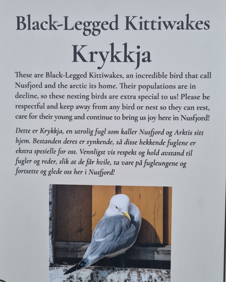 krykkjeinfo