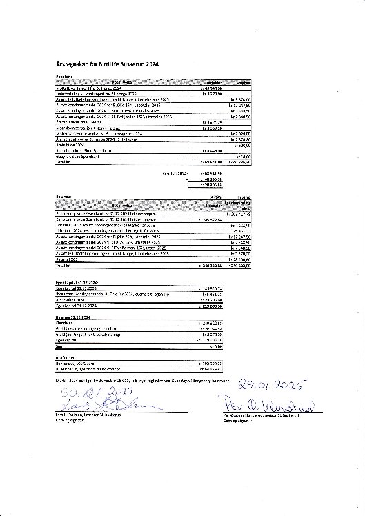 Årsregnskap 2024